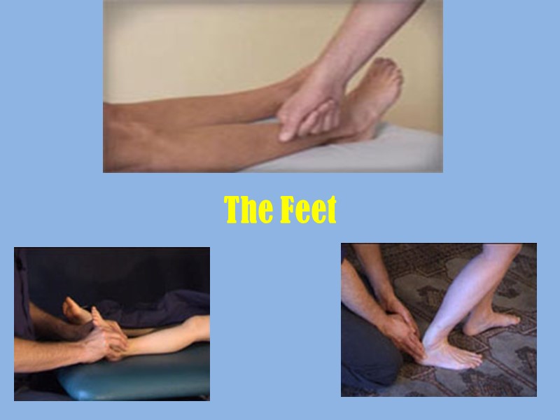 The Feet